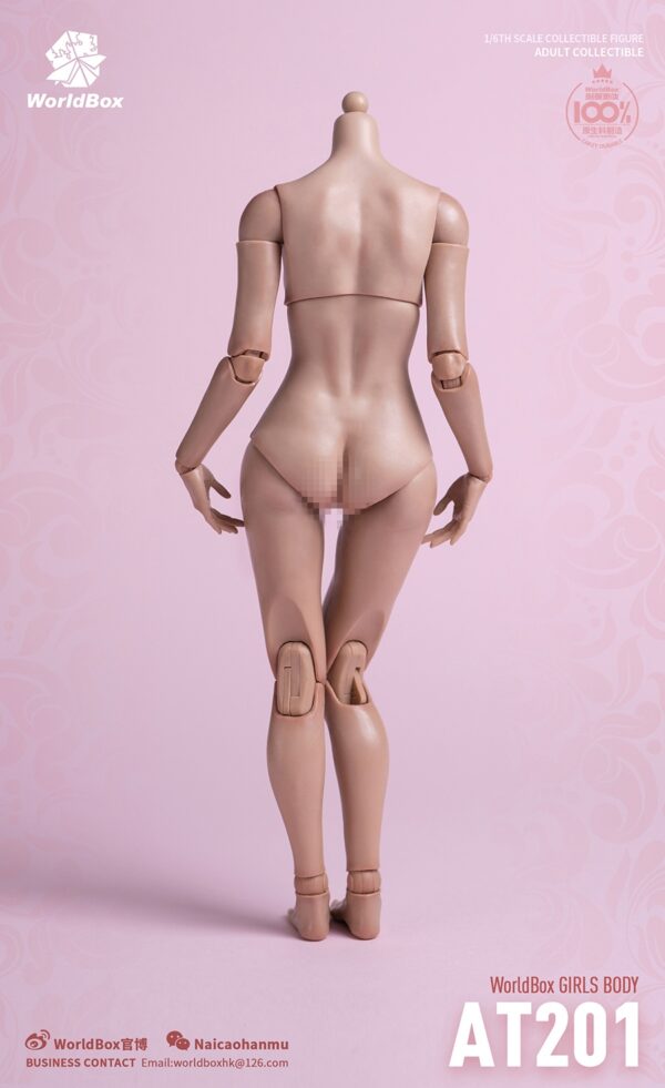 [WB-AT201] Female Body Standard Version - Image 14