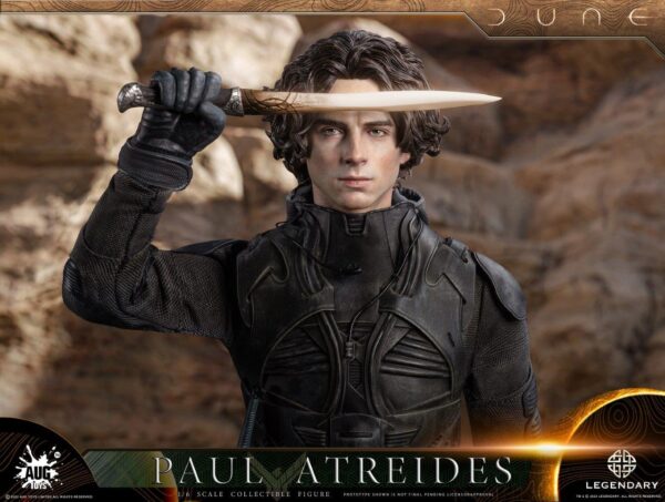 [AUG-DL003] Dune Paul Atreides in Distillation Suit - Image 5