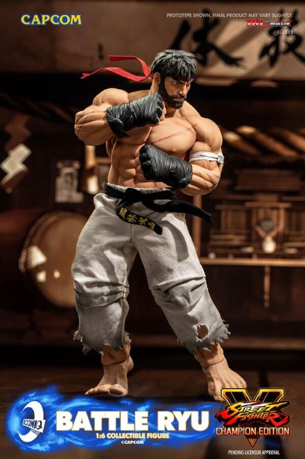[IQG-S06] Street Fighter Battle Ryu - Image 7