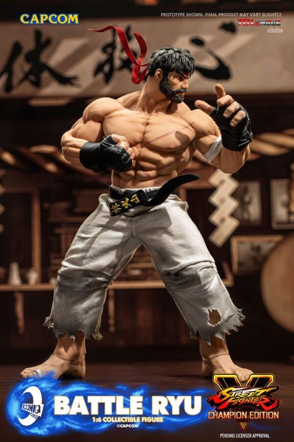 [IQG-S06] Street Fighter Battle Ryu - Image 5