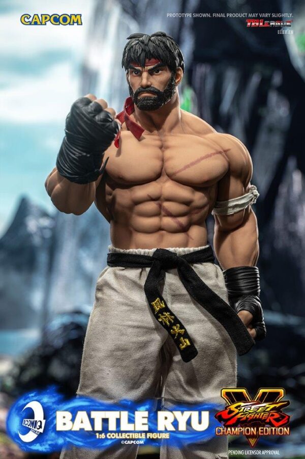 [IQG-S06] Street Fighter Battle Ryu - Image 8