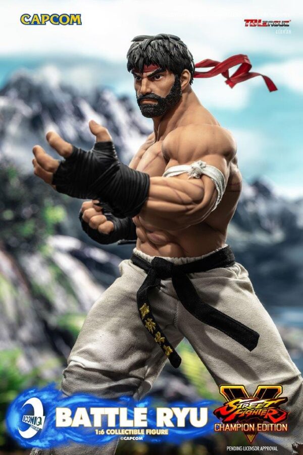 [IQG-S06] Street Fighter Battle Ryu - Image 12