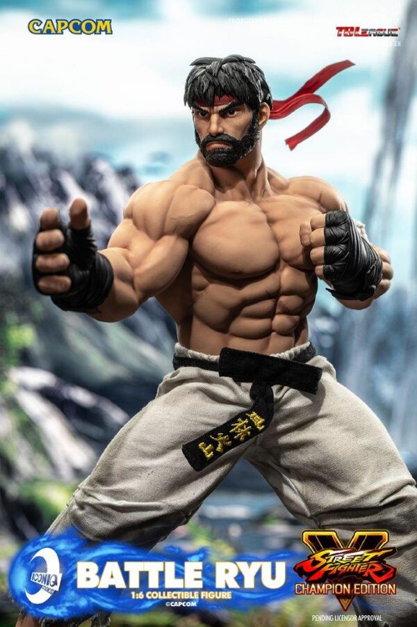 [IQG-S06] Street Fighter Battle Ryu - Image 11