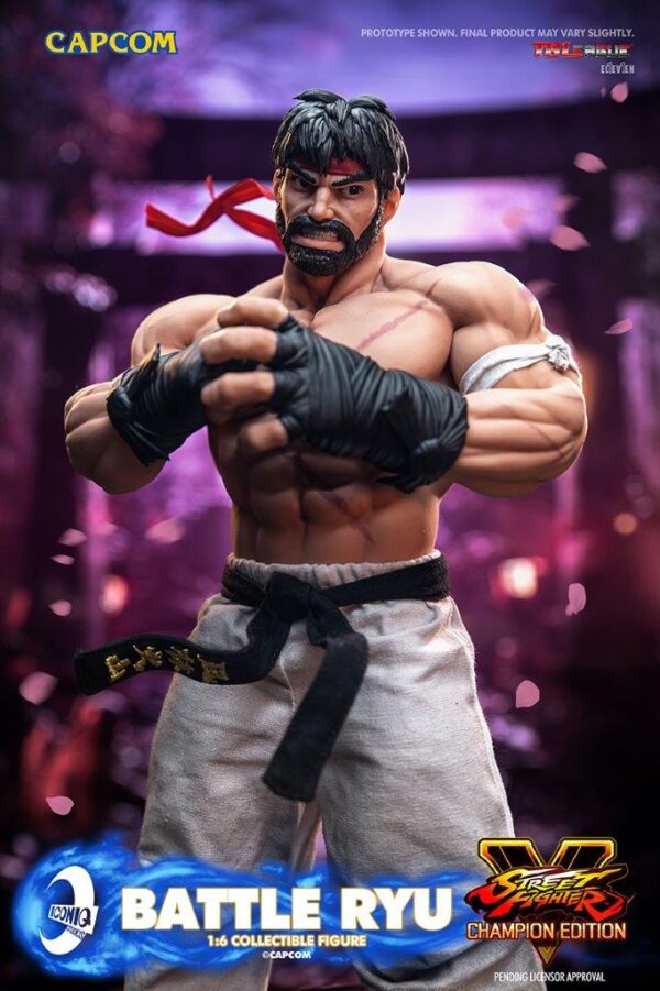 [IQG-S06] Street Fighter Battle Ryu - Image 13