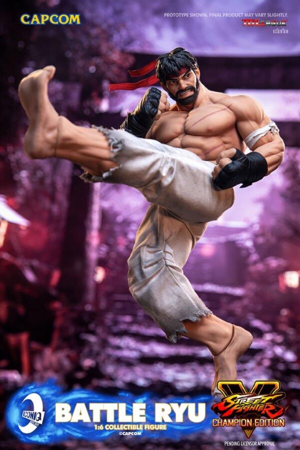 [IQG-S06] Street Fighter Battle Ryu - Image 14