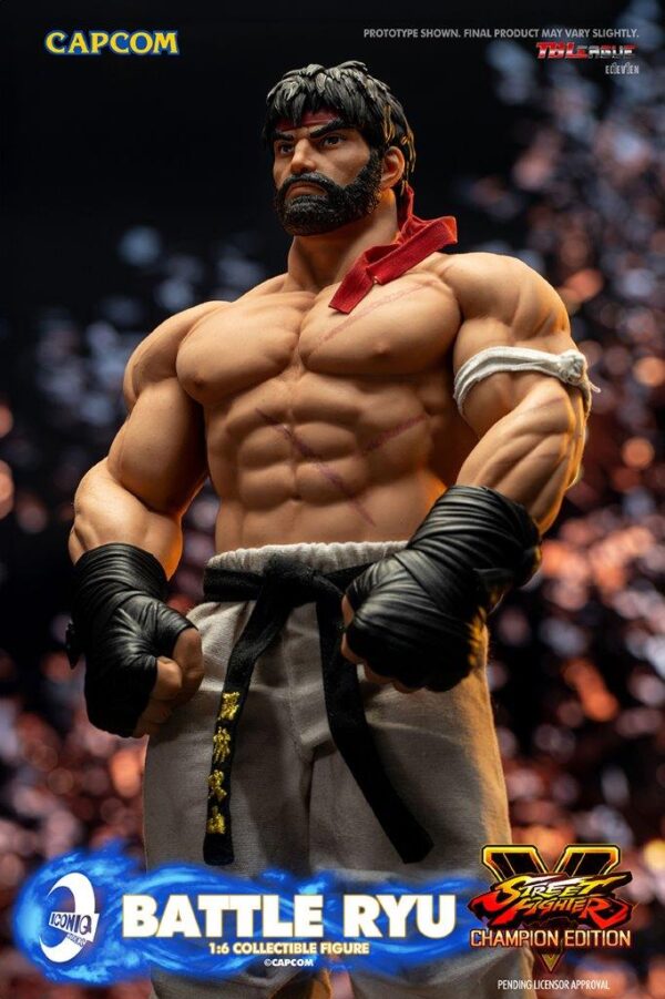 [IQG-S06] Street Fighter Battle Ryu - Image 26