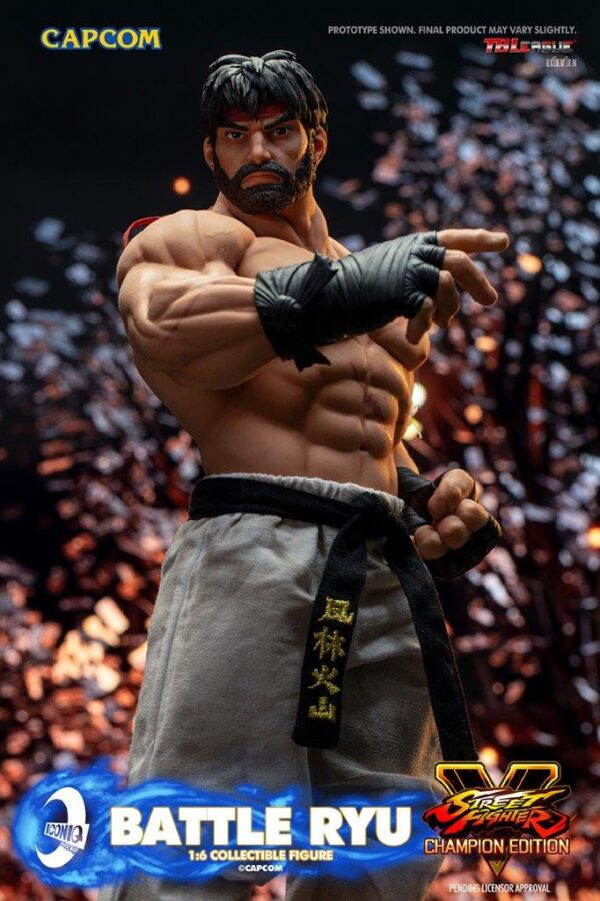 [IQG-S06] Street Fighter Battle Ryu - Image 25