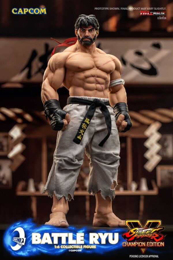[IQG-S06] Street Fighter Battle Ryu - Image 24