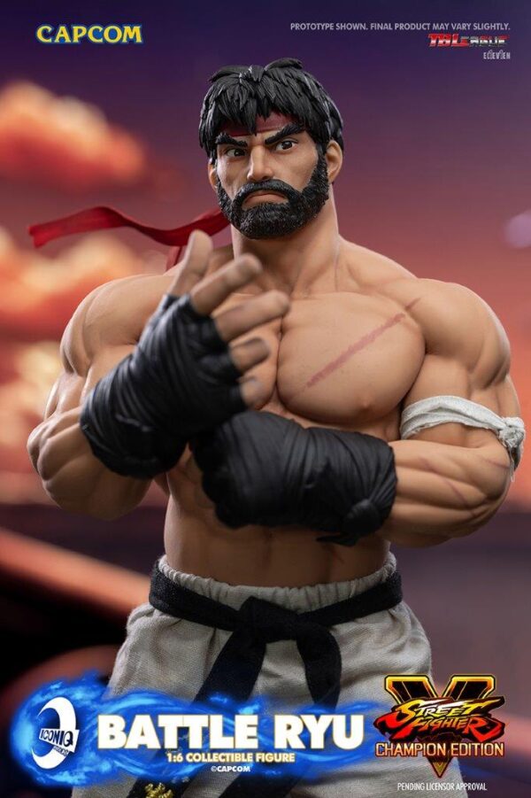[IQG-S06] Street Fighter Battle Ryu - Image 21