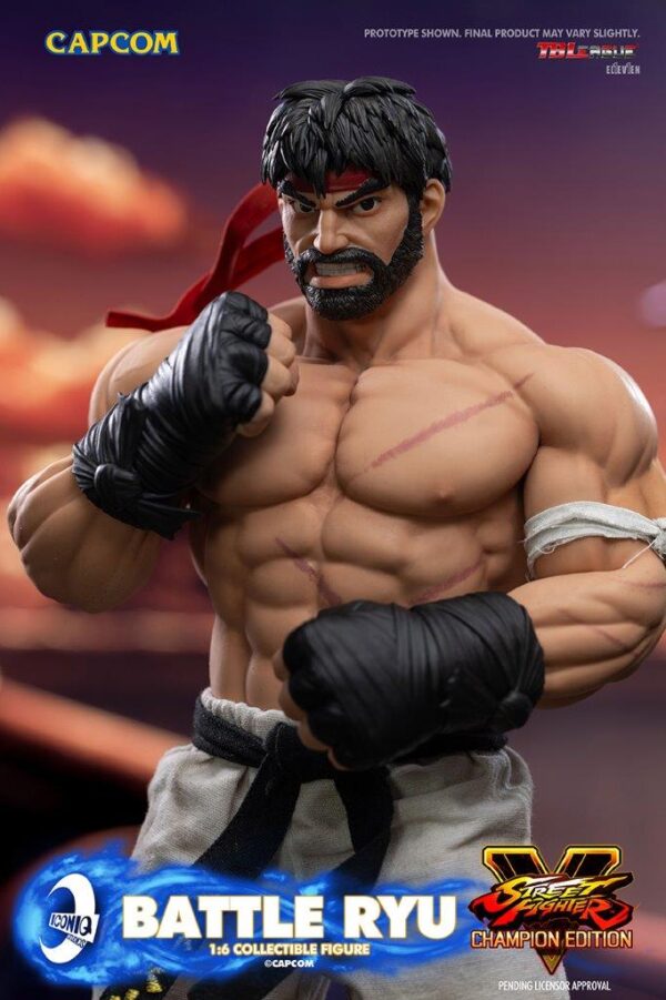 [IQG-S06] Street Fighter Battle Ryu - Image 20