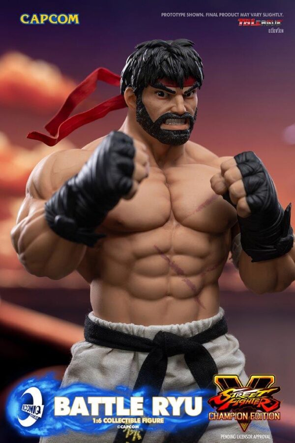 [IQG-S06] Street Fighter Battle Ryu - Image 19