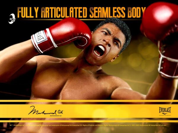 [IQ-LS01D] Muhammad Ali Double Pack - Image 3