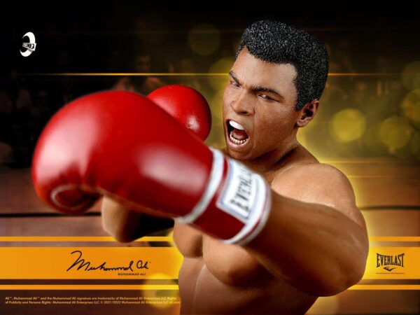 [IQ-LS01D] Muhammad Ali Double Pack - Image 6