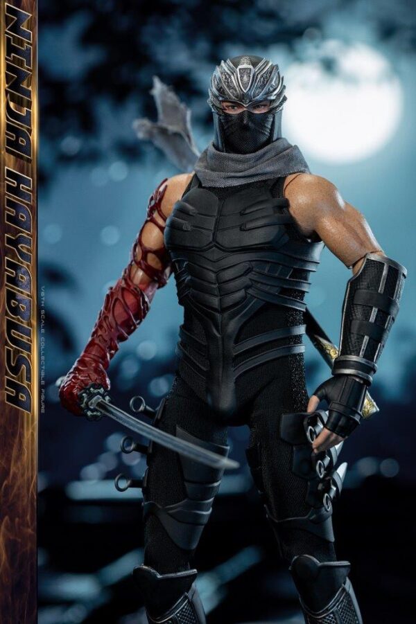 [SW-FS063] Ninja Hayabusa - Image 8