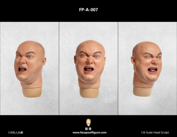[FP-A007 FP-H009] Caucasian Male HeadSculpt with Expression - Image 2