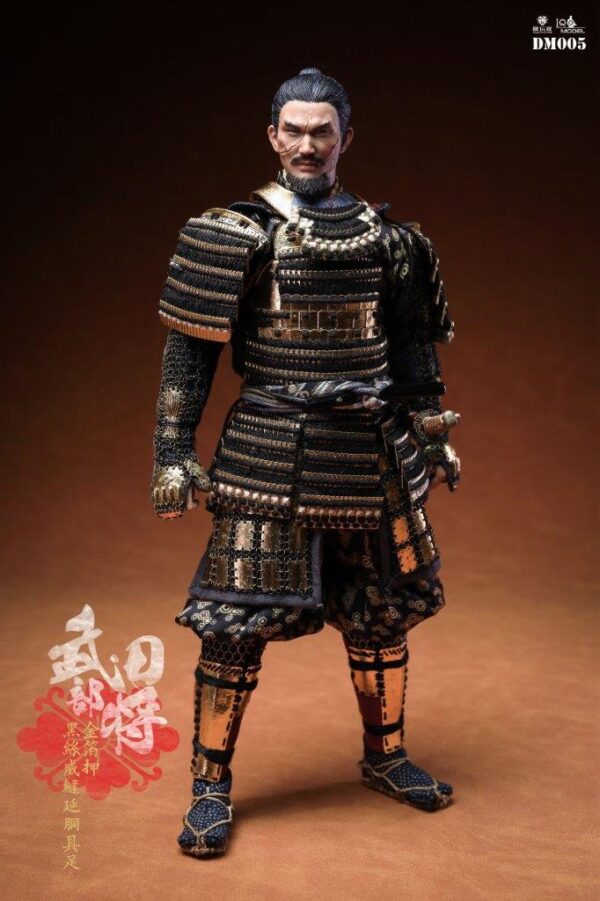 [IQO-DM005] General Takeda - Image 7