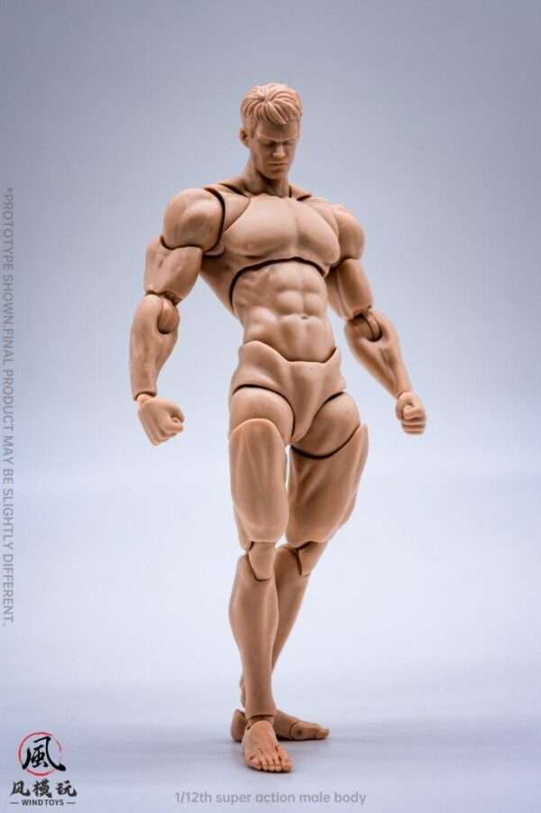 [WIN-2401-03] 1/12 Super Action Male Body - Image 10