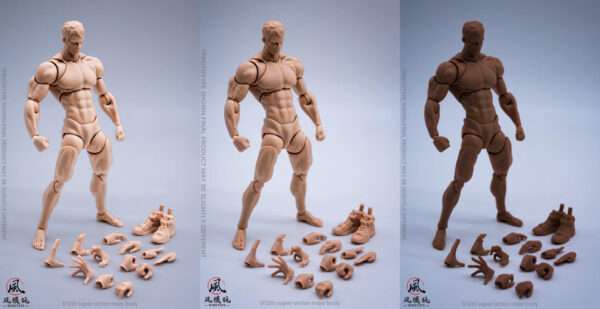[WIN-2401-03] 1/12 Super Action Male Body