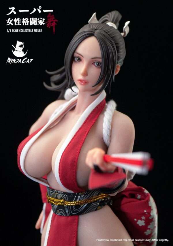 [NIC-N001] Fighter Mai - Image 3