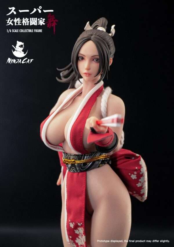 [NIC-N001] Fighter Mai - Image 4