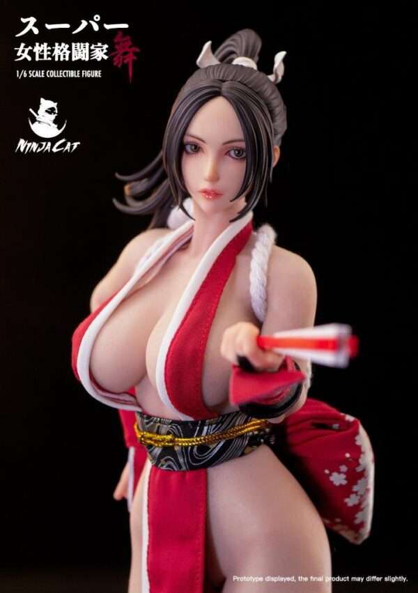 [NIC-N001] Fighter Mai - Image 5