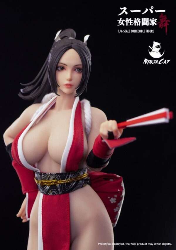 [NIC-N001] Fighter Mai - Image 6