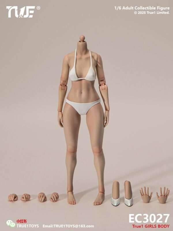 [T1T-EC3027-28] 1:6 Narrow Shoulder Fully Articulated Joints Female Body - Image 3