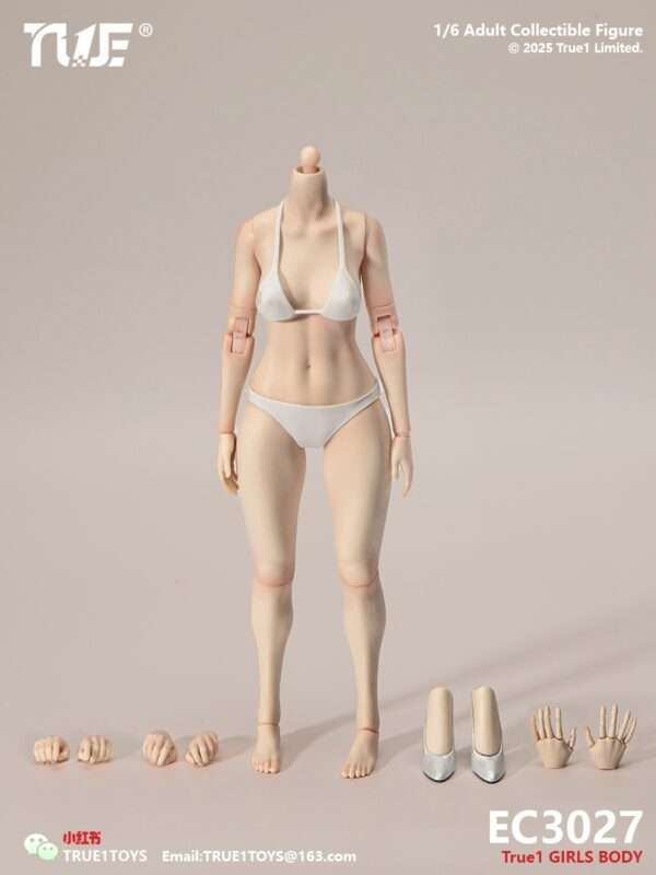 [T1T-EC3027-28] 1:6 Narrow Shoulder Fully Articulated Joints Female Body - Image 2
