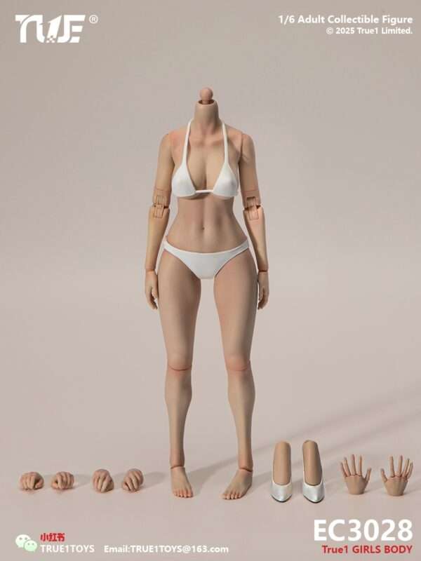 [T1T-EC3027-28] 1:6 Narrow Shoulder Fully Articulated Joints Female Body - Image 5