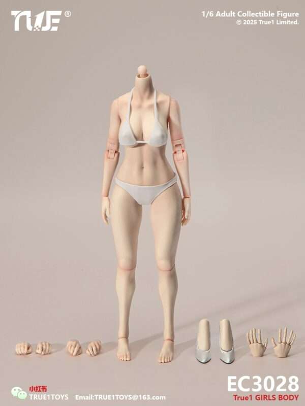 [T1T-EC3027-28] 1:6 Narrow Shoulder Fully Articulated Joints Female Body - Image 4
