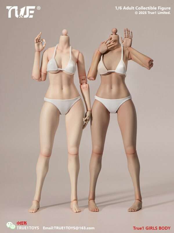 [T1T-EC3027-28] 1:6 Narrow Shoulder Fully Articulated Joints Female Body