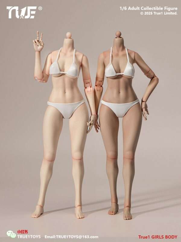 [T1T-EC3027-28] 1:6 Narrow Shoulder Fully Articulated Joints Female Body - Image 6