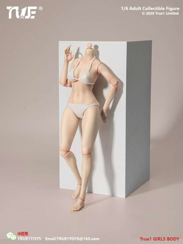 [T1T-EC3027-28] 1:6 Narrow Shoulder Fully Articulated Joints Female Body - Image 7