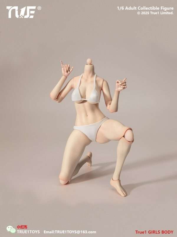 [T1T-EC3027-28] 1:6 Narrow Shoulder Fully Articulated Joints Female Body - Image 8
