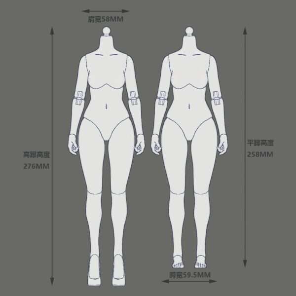 [T1T-EC3027-28] 1:6 Narrow Shoulder Fully Articulated Joints Female Body - Image 9