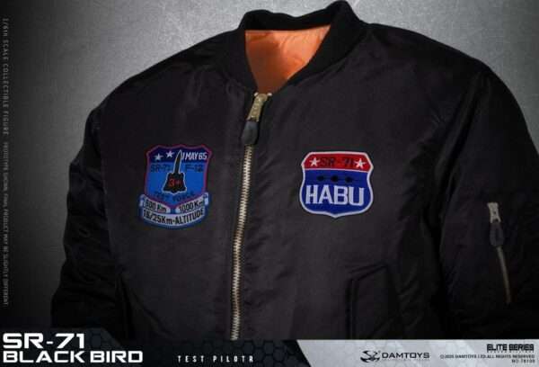 [DAM-78109] SR-71 BLACK BIRD TEST PILOT - Image 7