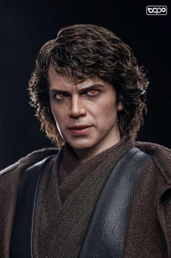 [TOPO-026] Anakin Accessory - Image 6