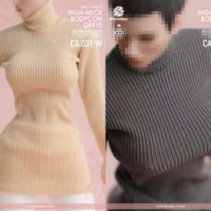 [WB-CA031] High-Neck Bodycon Dress Set