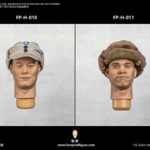 [FP-H010-11] Asian Male Head Sculpt with Expression