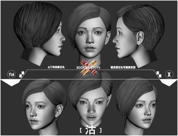 [BMT-02] Second Edition 2nd Female Head Sculpt With Movable Eyes
